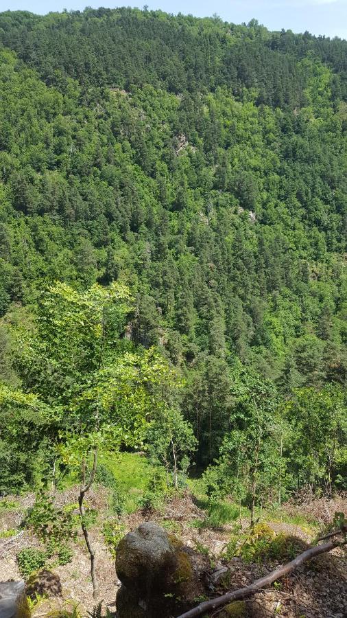 Se Reconnecter A La Nature Au Gite 3 Etoiles De Montager A Saint Andre De Chalencon 외부 사진