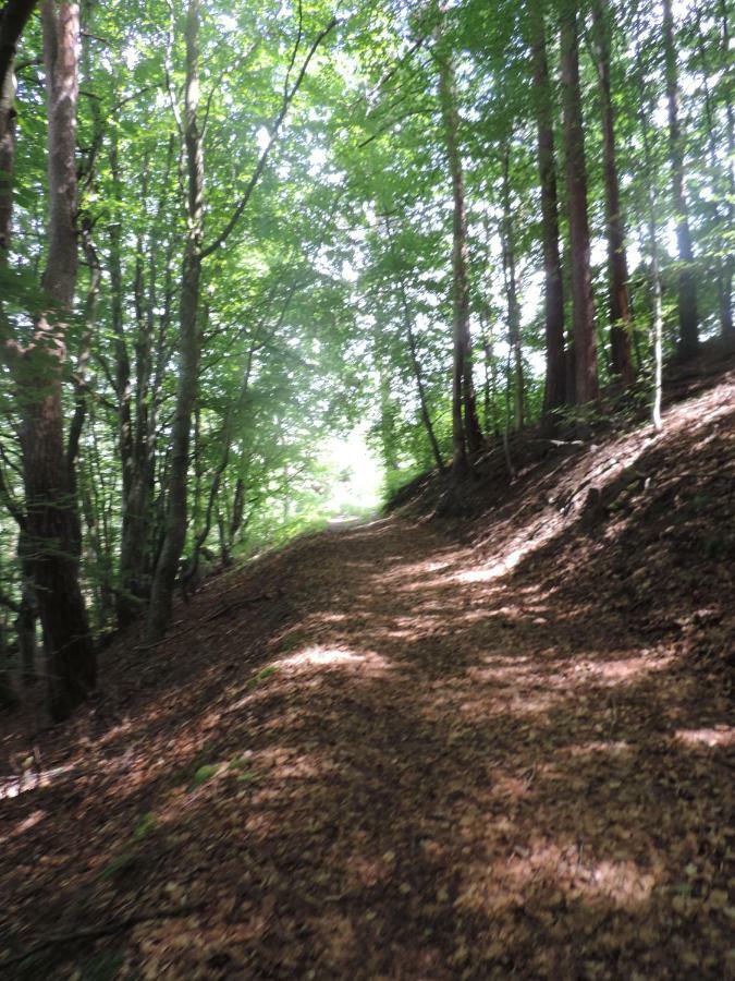 Se Reconnecter A La Nature Au Gite 3 Etoiles De Montager A Saint Andre De Chalencon 외부 사진