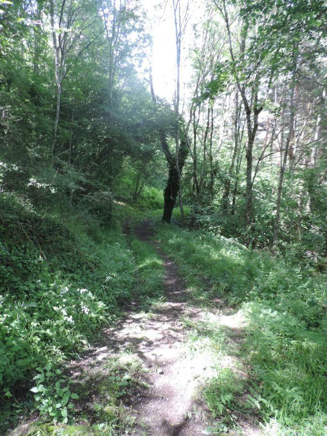 Se Reconnecter A La Nature Au Gite 3 Etoiles De Montager A Saint Andre De Chalencon 외부 사진