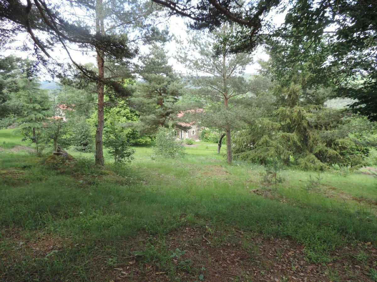 Se Reconnecter A La Nature Au Gite 3 Etoiles De Montager A Saint Andre De Chalencon 외부 사진