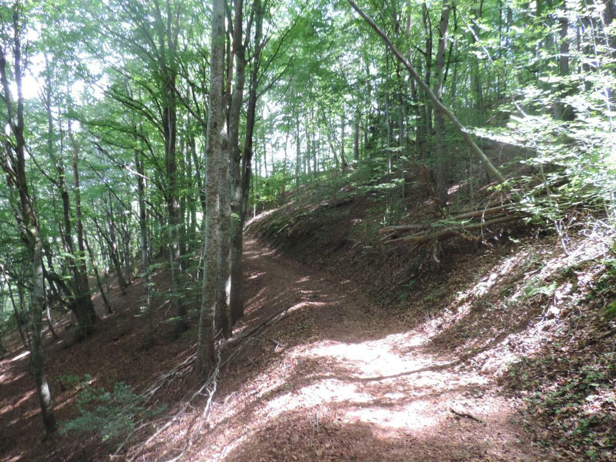 Se Reconnecter A La Nature Au Gite 3 Etoiles De Montager A Saint Andre De Chalencon 외부 사진