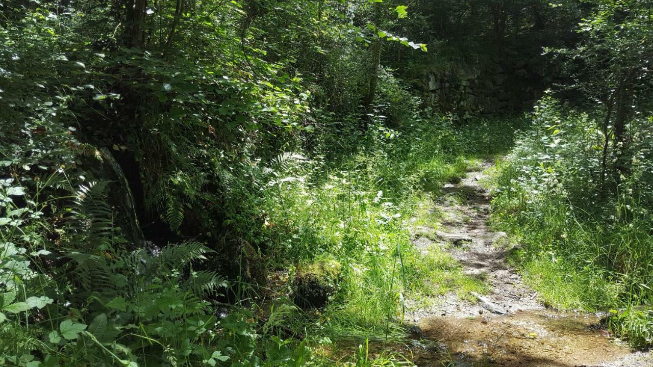 Se Reconnecter A La Nature Au Gite 3 Etoiles De Montager A Saint Andre De Chalencon 외부 사진