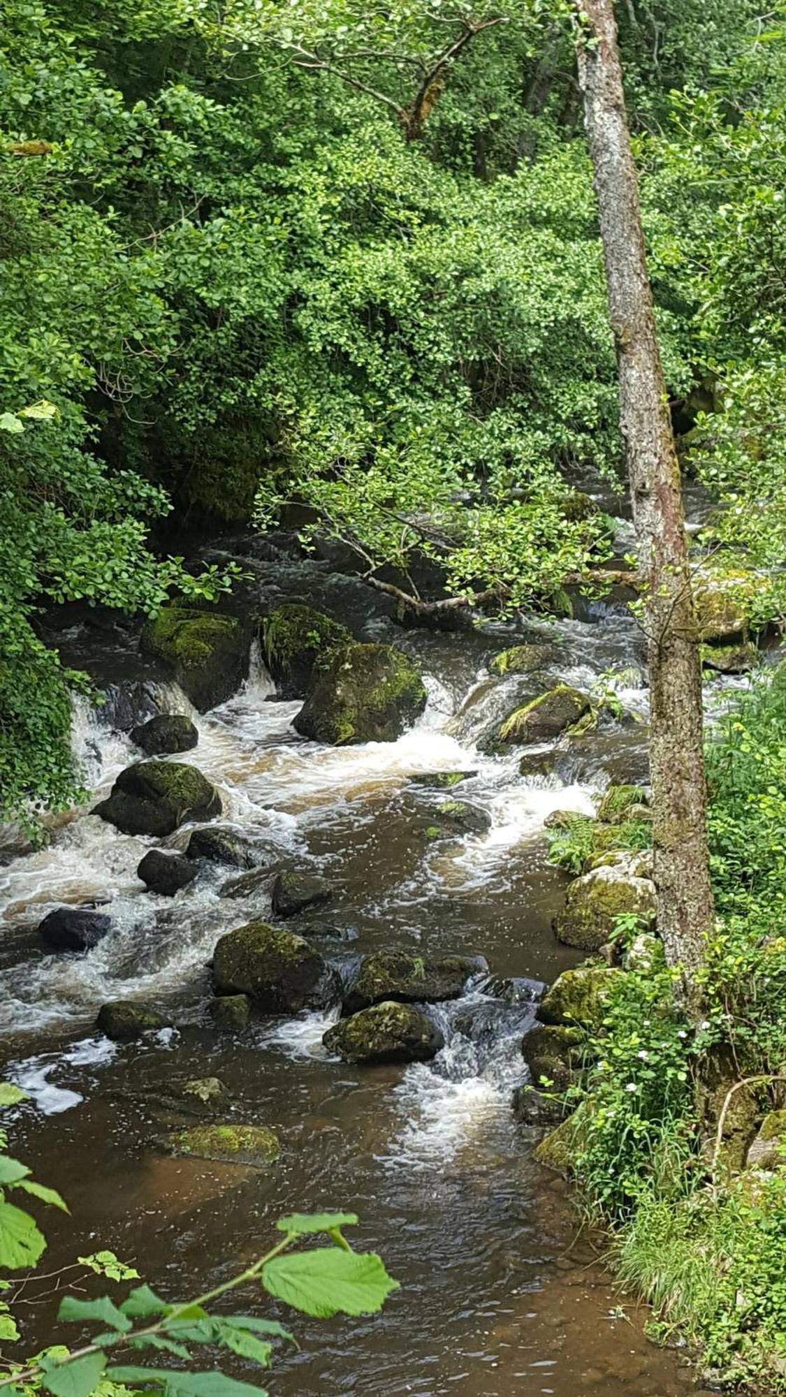 Se Reconnecter A La Nature Au Gite 3 Etoiles De Montager A Saint Andre De Chalencon 외부 사진